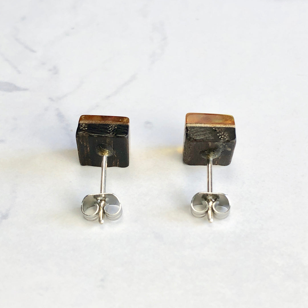 琥珀ピアス(バルティックアンバー):B-1