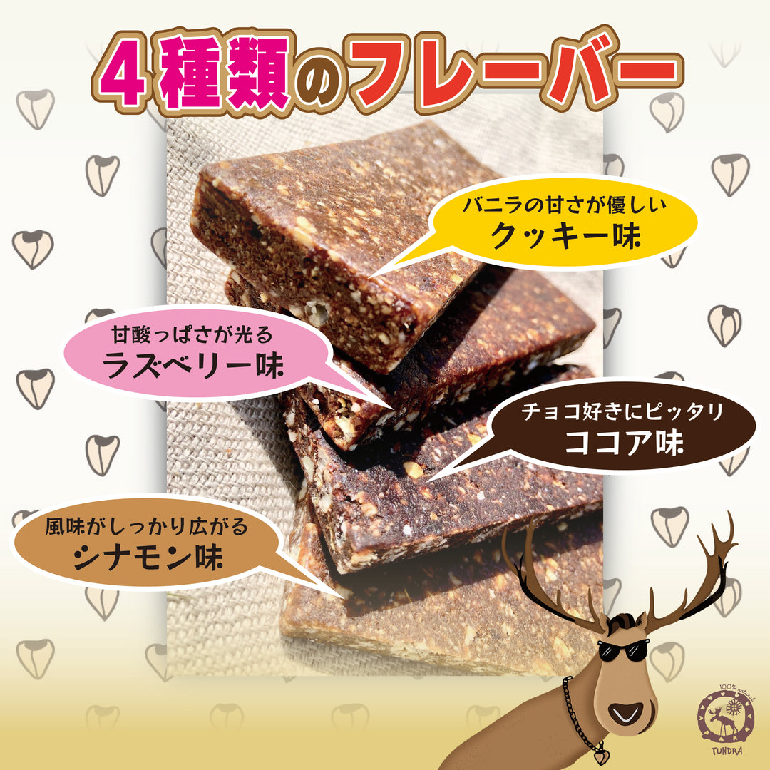 Sprouted Buckwheat Bars "Tundra" Cocoa Power - 発芽そばの実バー「ツンドラ・ココアパワー」