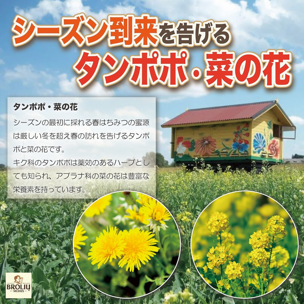 Raw Honey "Brolių Medus" Spring Blossom - 生はちみつ「スプリングブロッサム・ハニー」500g