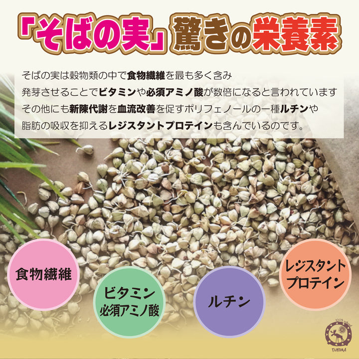 Sprouted Buckwheat Bars "Tundra" Raspberry Power - 発芽そばの実バー「ツンドラ・ラズベリーパワー」