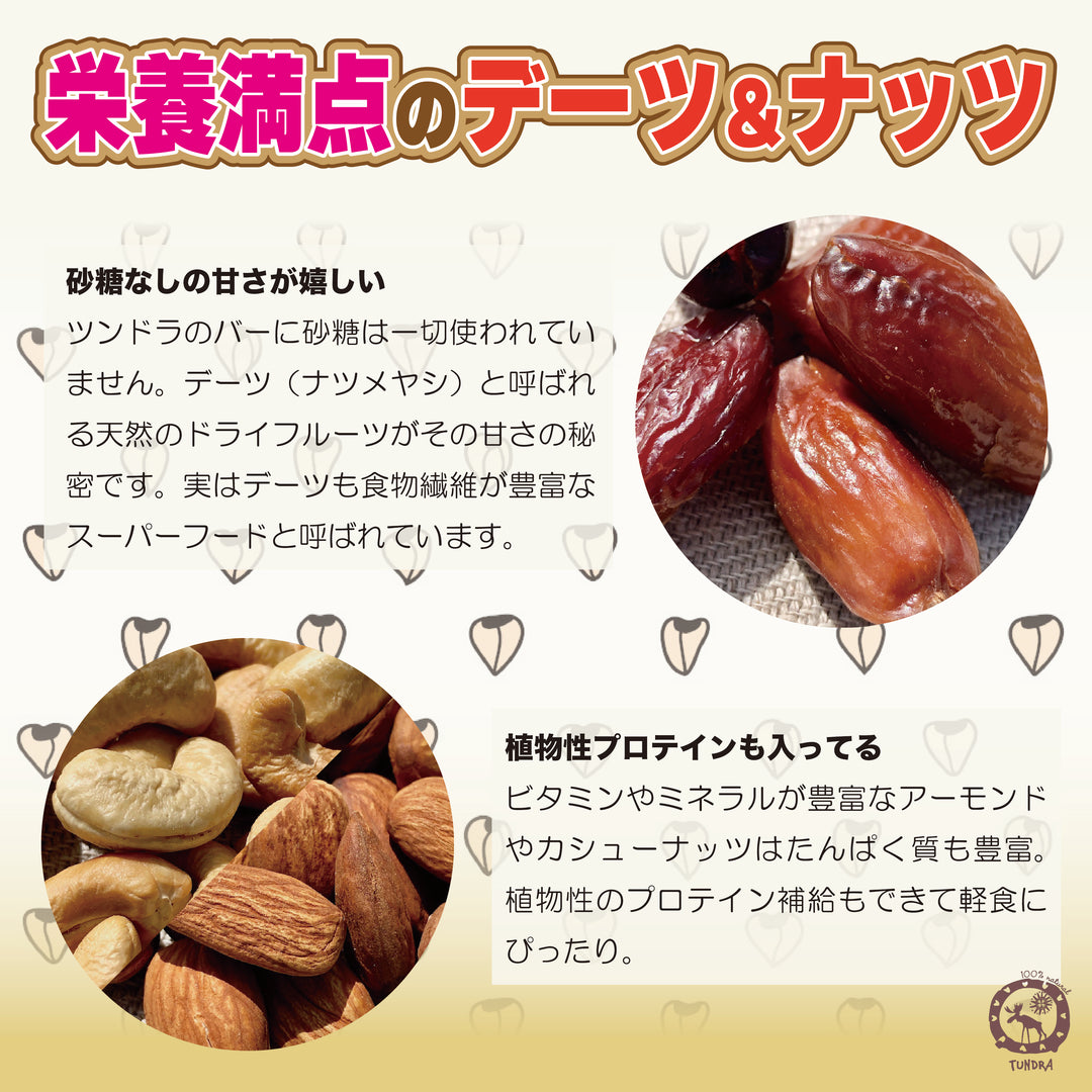 Sprouted Buckwheat Bars "Tundra" Cocoa Power - 発芽そばの実バー「ツンドラ・ココアパワー」