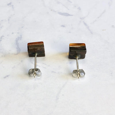 Amber Earrings (Baltic Amber): B-5
